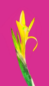 F 058F